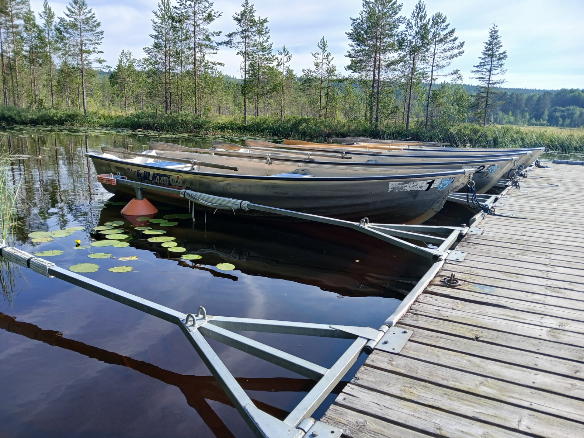 Rowboat moored at a wooden dock on a calm lake, surrounded by lily pads and pine trees.