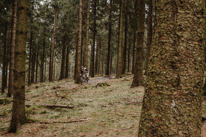Mountainbiking på en skovsti i Säfsen, Dalarna