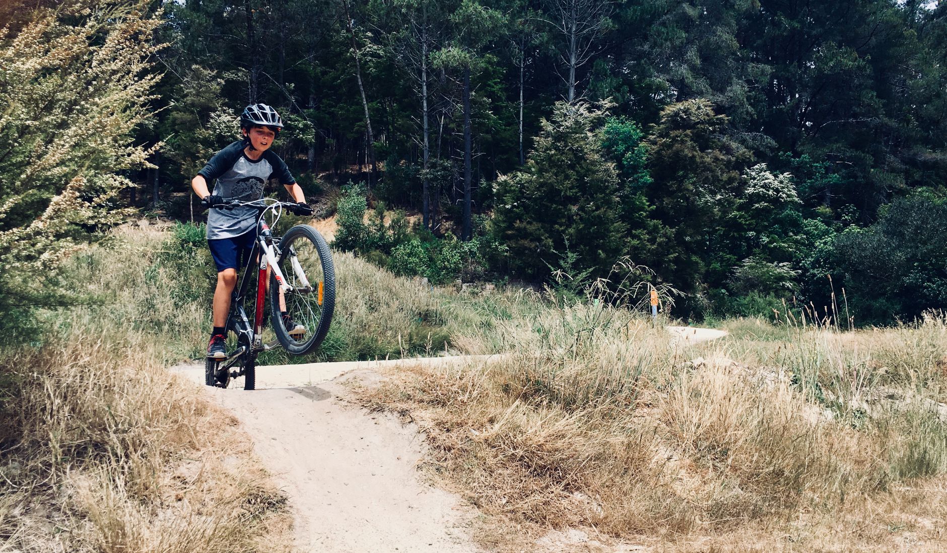 Mountainbiking på en familievenlig MTB-rute i Säfsen, Dalarna
