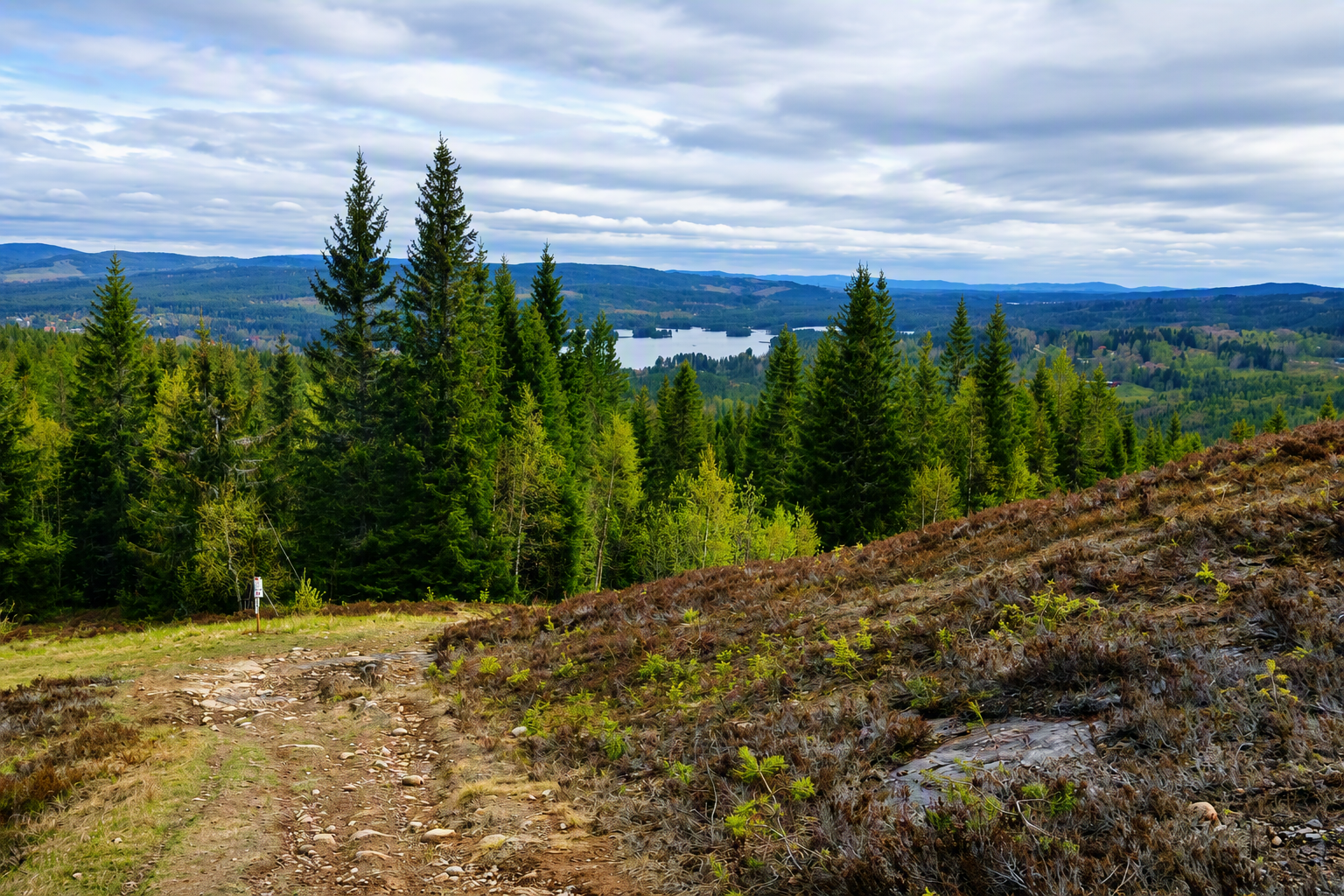 Udsigt fra vandresti i Säfsen, Dalarna